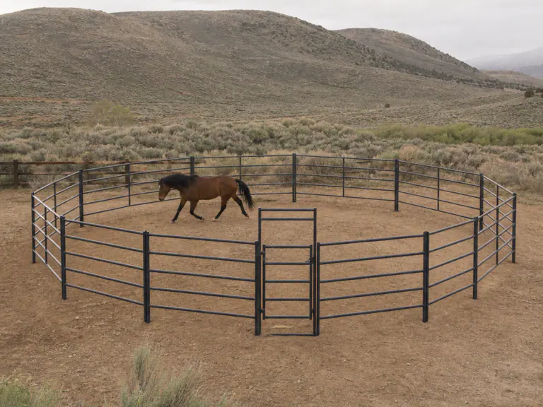 Complete steel horse round pen