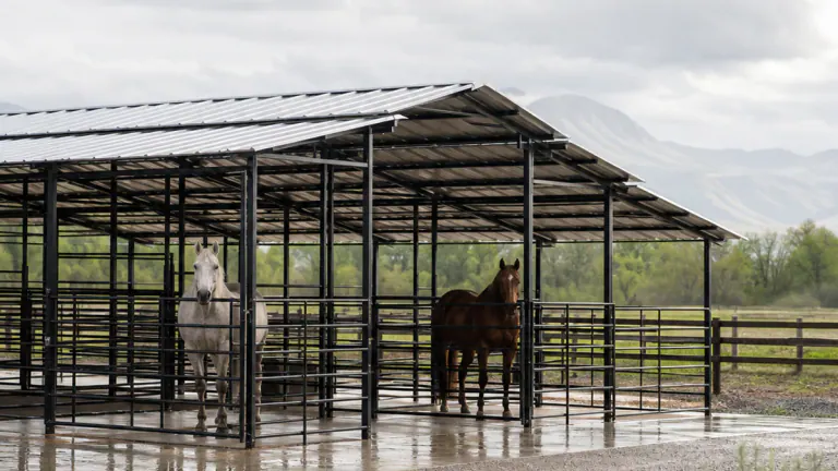 Open-sided mare motel with a covered breezeway