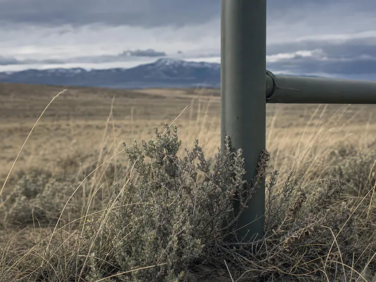 Sagebrush flats below the Teton range
