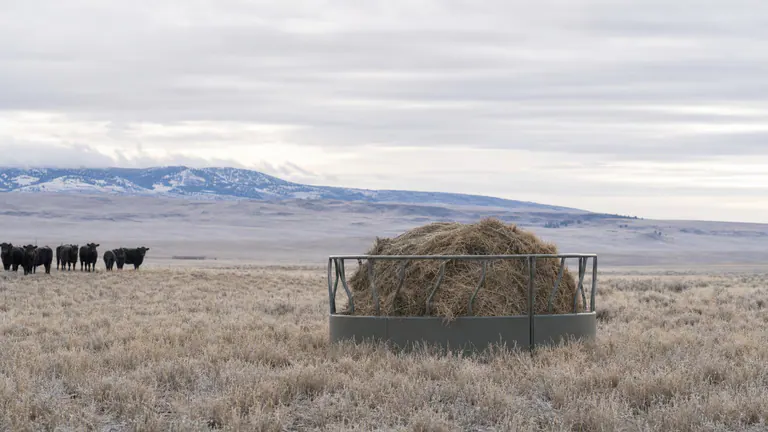 Welded steel hay feeders for horses and cattle